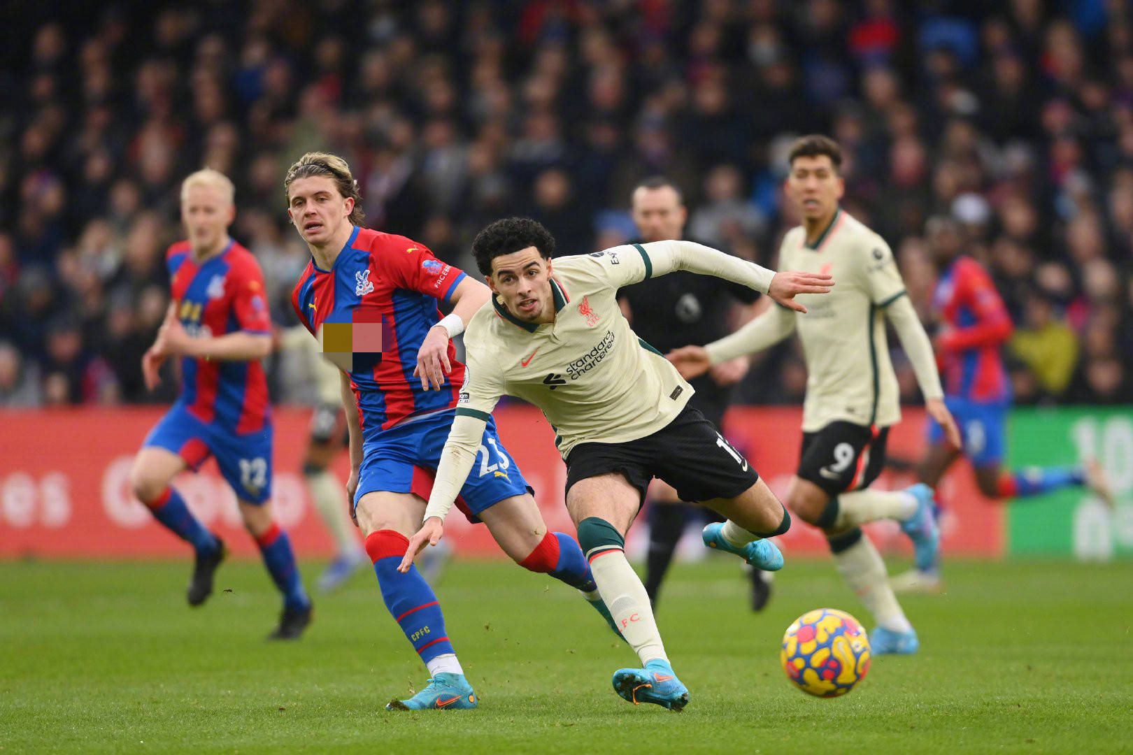 充分展现了 充分展现了